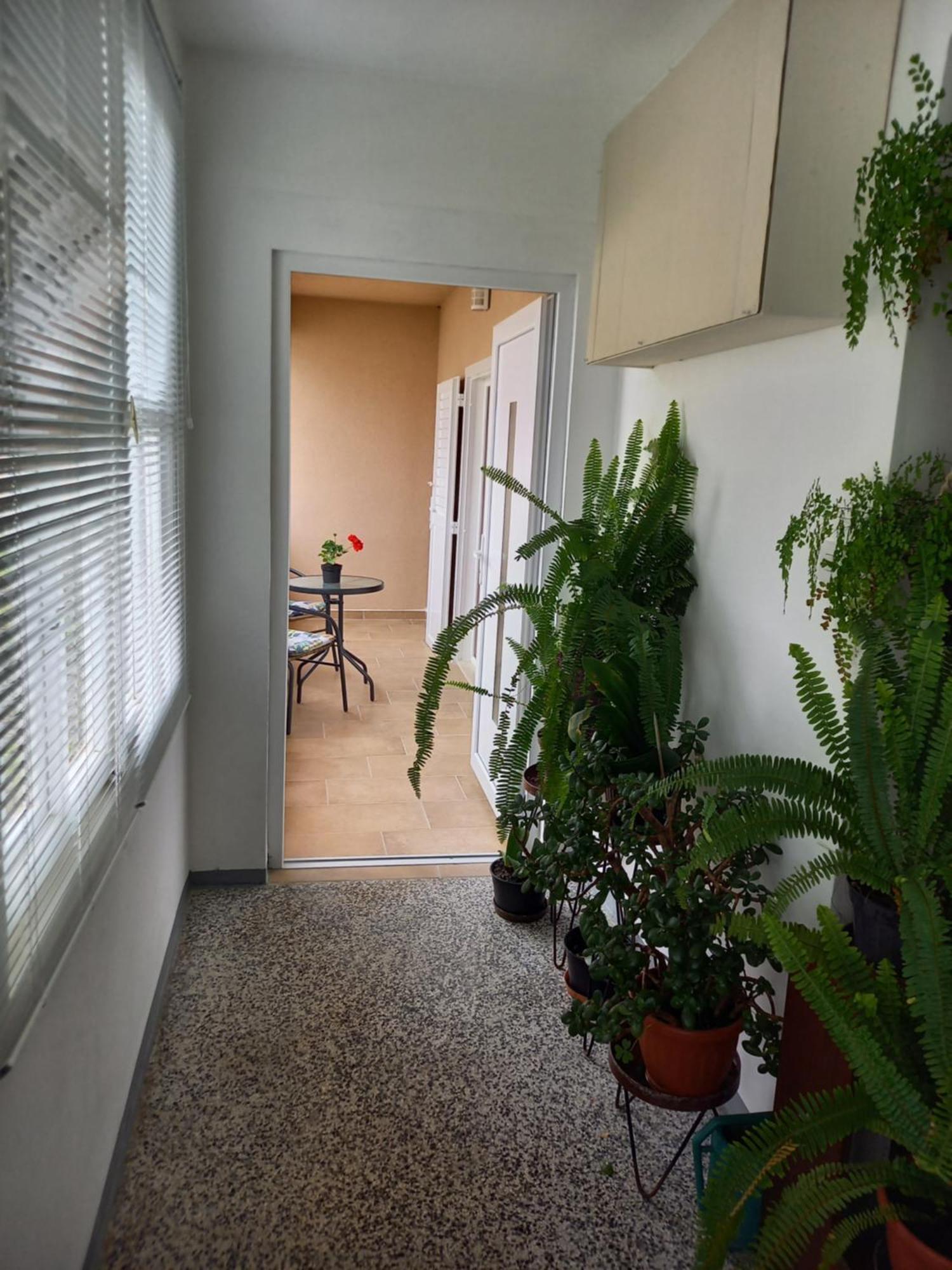 Summer Rooms Baska Ngoại thất bức ảnh